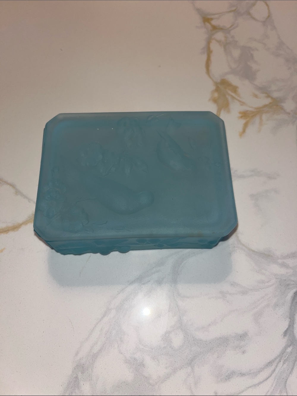 Vintage Frosted Glass Box Blue Bird Embossed Consolidated Le Smith Cottagecore